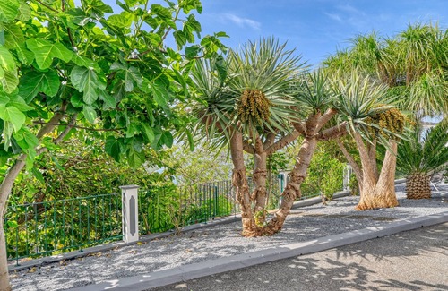 Canhas Cottage | Casa de Ponte, a Home in Madeira