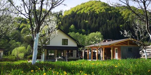 Banita House | Casa de vacanță Edya