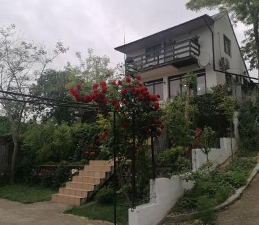 Dunavatu de Jos House | Casa de Vacanta Simfonia Apelor