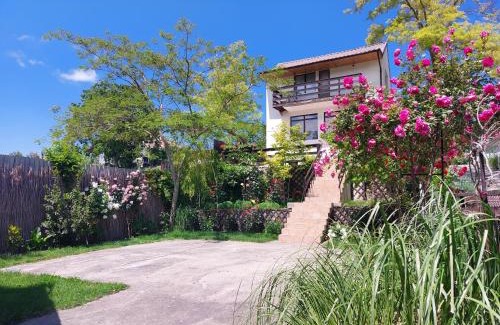 Dunavatu de Jos House | Casa de Vacanta Simfonia Apelor