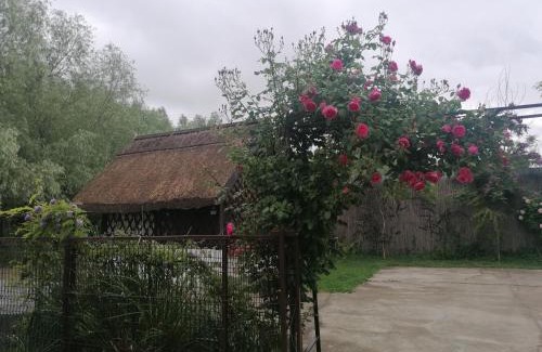 Dunavatu de Jos House | Casa de Vacanta Simfonia Apelor