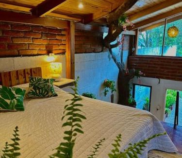 San Antonio de Pichincha Apartment | Casa del árbol - Mitad del mundo