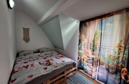 Gilau House | Casa Delia
