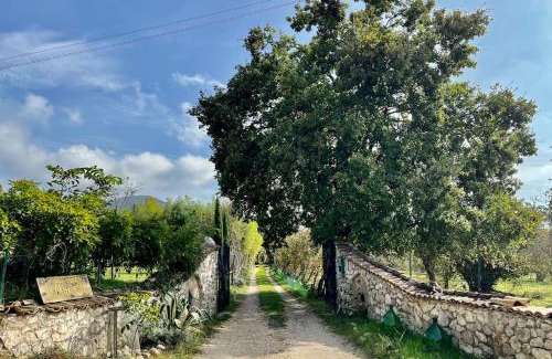 Norma Apartment | Casa dell'Antica Norba, Norma - big house