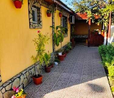 Sulina House | Casa Denisa