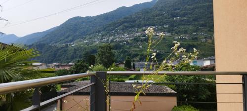 Riazzino House | Casa Diana Ticino