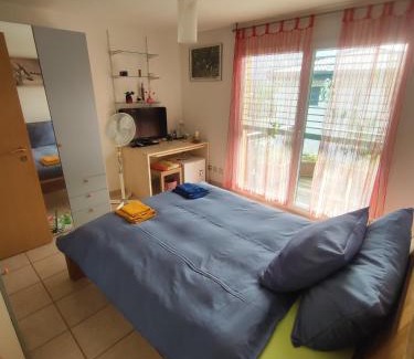 Riazzino House | Casa Diana Ticino