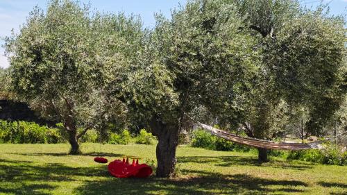 Alexandroupoli Villa | Casa Dikella