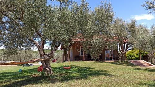 Alexandroupoli Villa | Casa Dikella