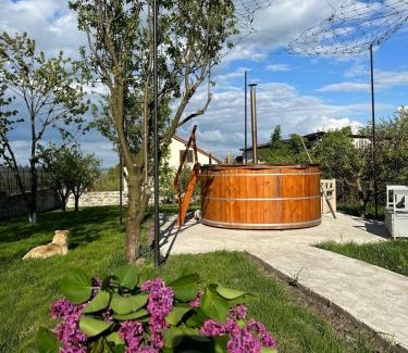 Rosia Bed & Breakfast | Casa din Deal