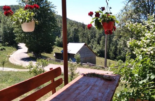 Garda de Sus House | Casa din Poiană