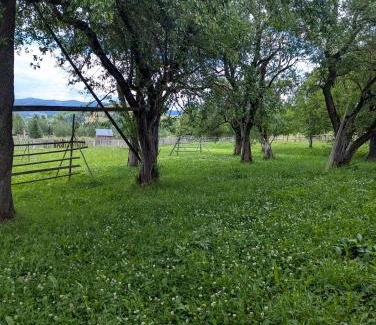Vatra Moldovitei House | Casa dintre coline