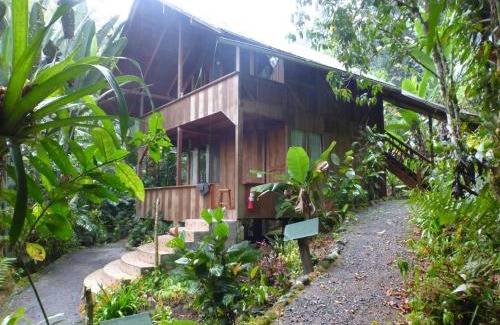 Mindo Cabin | Casa Divina Eco Lodge
