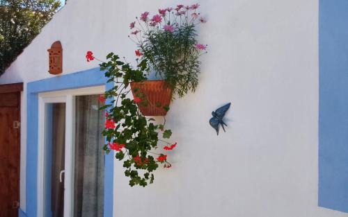 Sao Teotonio House | Casa do Brejão campo e praia