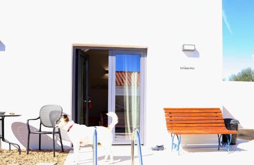 Reguengos de Monsaraz House | Casa do Campinho B&B boutique country house
