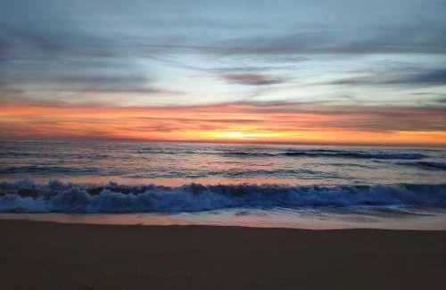 Insuela House | Casa do patín