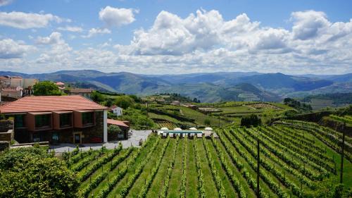 Provesende House | Casa do Santo - Wine & Tourism