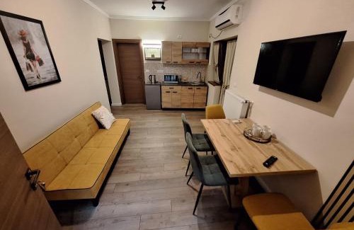 Timisoara House | Casa Don Felipe
