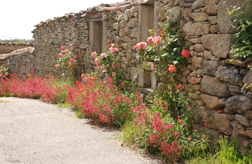 Miranda do Douro House | Casa dos Edras - Family Guest House 16 people