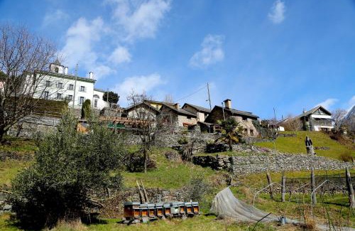 Verdabbio Bed & Breakfast | Casa Dosc