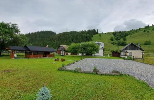 Ciocanesti House | Casa Dumitru si Elena Ciocanesti Bucovina