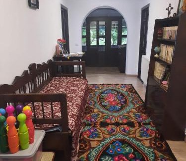 Ciocanesti House | Casa Dumitru si Elena Ciocanesti Bucovina