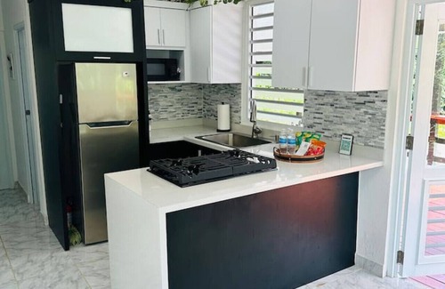 Rio Blanco Cabin | Casa El Yunque: Private Pool & River