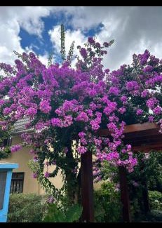 Vila Poran House | Casa em Campos do Jordão