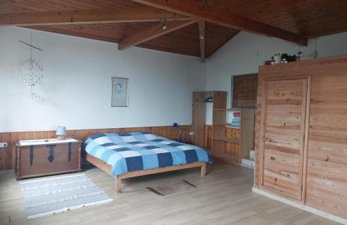 Flamengos House | Casa Farrobo