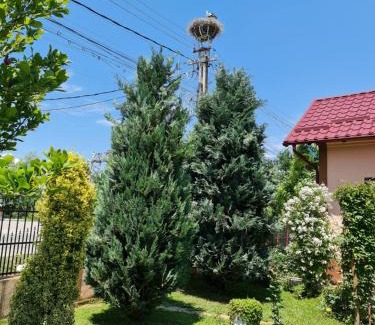 Valsanesti House | Casa Faurului