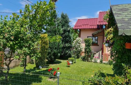 Valsanesti House | Casa Faurului