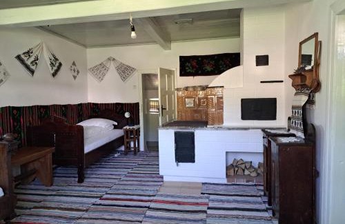Sucevita House | Casa Felicia