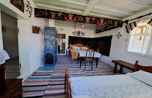 Sucevita House | Casa Felicia