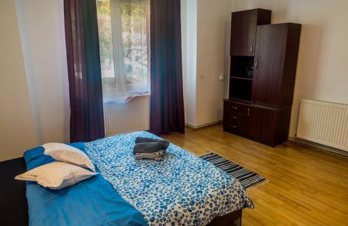 Valiug House | Casa Flavius