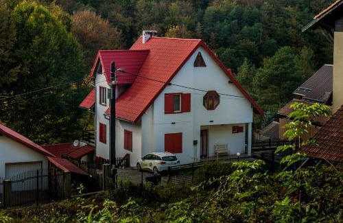 Valiug House | Casa Flavius