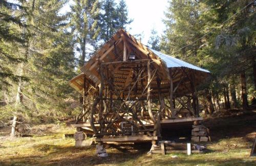Vartop Ski Chalet | Casa Floare de Colt