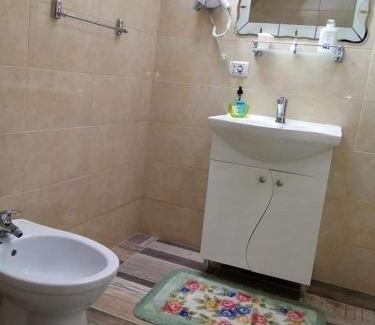 Soars House | Casa Florilor Barcut