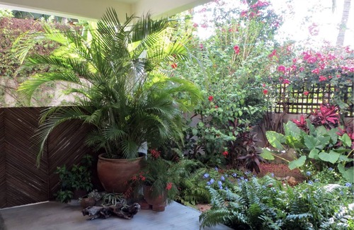 Santa Maria House | Casa Guadalupe - 1 minute from the beach! Blue Horizon Real Estate