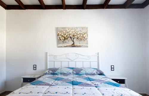 Cobisa House | Casa Huerta de Paco