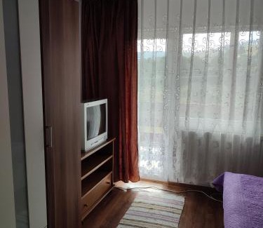 Manastirea Humorului House | Casa Irilen