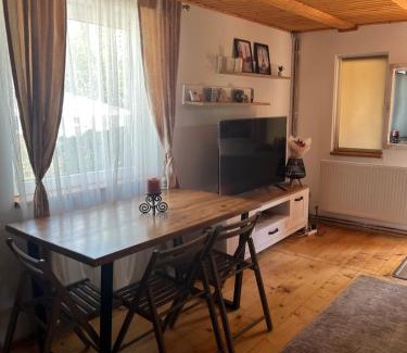Bunesti House | Casa Iuliana