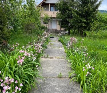 Bunesti House | Casa Iuliana