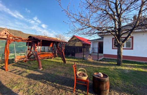 Humulesti House | Casa Jeni