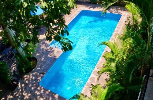Playa la Madera Apartment | Casa Kaz: Penthouse 1 Bedroom