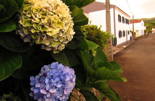 Lajes das Flores Apartment | Casa L&M