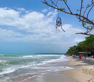 Palomino Bed & Breakfast | Casa La Rayanna