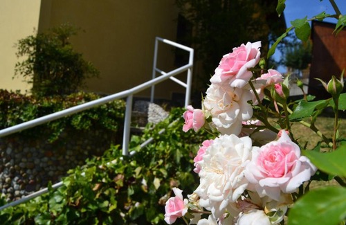 Castagnole delle Lanze Apartment | Casa Lanze