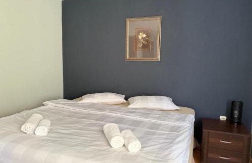 Borsa House | Casa Larisa Borsa