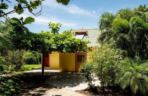 Bejuco Bed & Breakfast | Casa Laureles