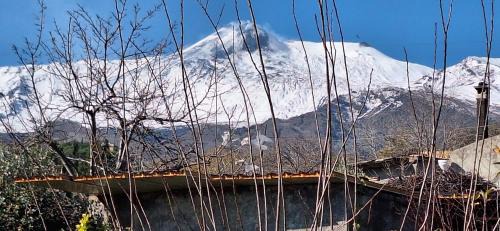 Coste House | Casa Leopina Apri gli occhi e vola oltre il mare